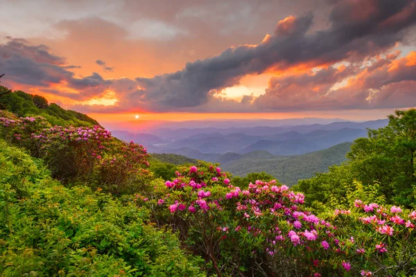 Great Craggy Mountains Langs Blue Ridge Parkway North Carolina Usa — Stockfoto