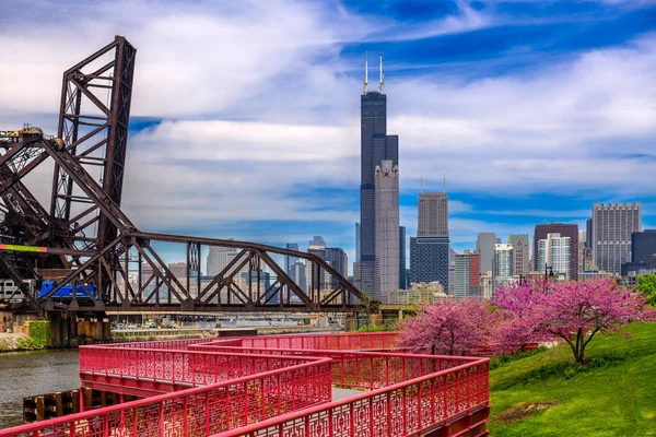 Chicago Illinois Verenigde Staten Park Het Centrum Skyline Het Voorjaar — Stockfoto