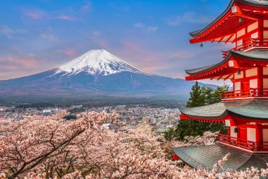 Fujiyoshida, Japonya Chureito Pagoda ve Mt. Baharda kiraz çiçekleriyle Fuji.