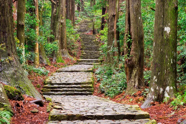 熊野古道大門坂 和歌山県那智日本のユネスコ世界遺産として指定された神聖な歩道で — ストック写真