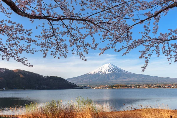 Fuji Japonsko Jezeře Kawaguchi Během Jarní Sezóny Třešňovými Květy — Stock fotografie