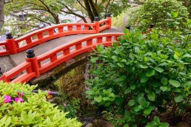 Taiji, Wakayama, Japonya 'da bir köprü..