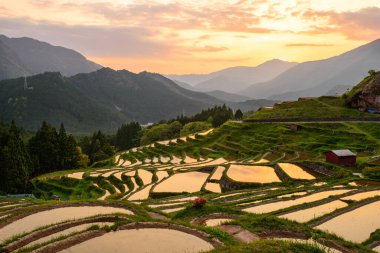 Pirinç terasları batımında Maruyama-senmaida, Kumano, Japonya.