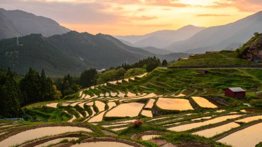 Pirinç terasları batımında Maruyama-senmaida, Kumano, Japonya.