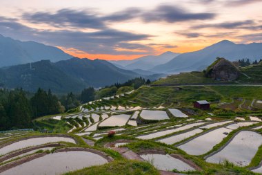 Pirinç terasları batımında Maruyama-senmaida, Kumano, Japonya.