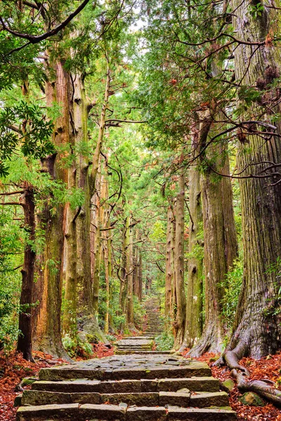 熊野古道大門坂 和歌山県那智日本のユネスコ世界遺産として指定された神聖な歩道で — ストック写真