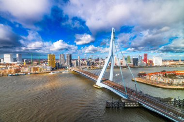 Rotterdam, Hollanda, Şehir silueti ve köprü öğleden sonra.