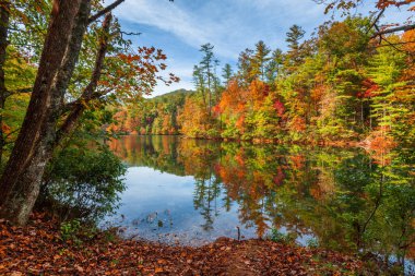 Santeetlah Gölü, Kuzey Carolina, ABD 'de Lakeside yaprakları dökülüyor..