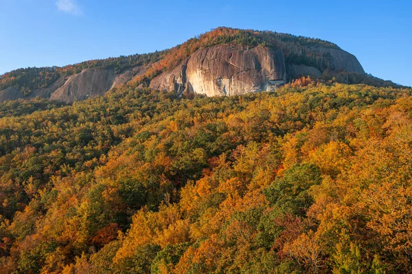 Las Narodowy Pisgah Karolina Północna Usa Looking Glass Rock Sezonie — Zdjęcie stockowe