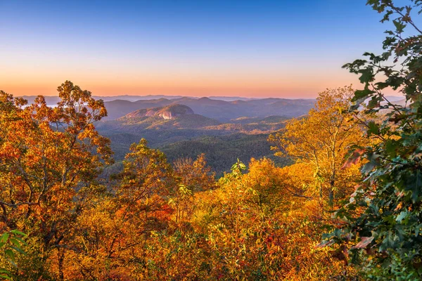 ピスガ国立の森 ノースカロライナ州 アメリカ — ストック写真