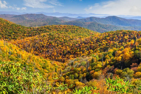 Pisgah National Forest Carolina Norte Eua Durante Outono — Fotografia de Stock