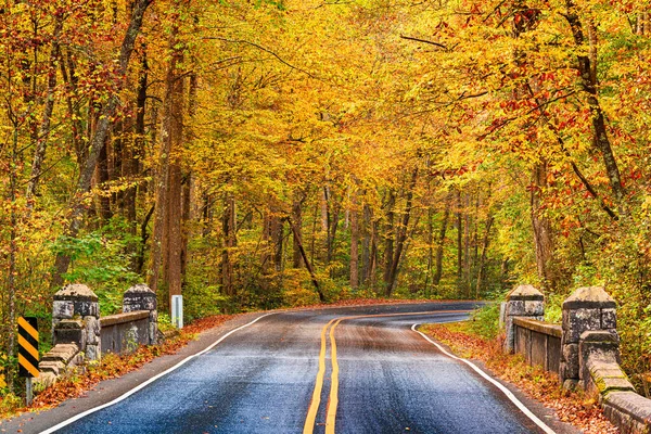Podzimní Silnice Pisgah National Forest Severní Karolína Usa — Stock fotografie