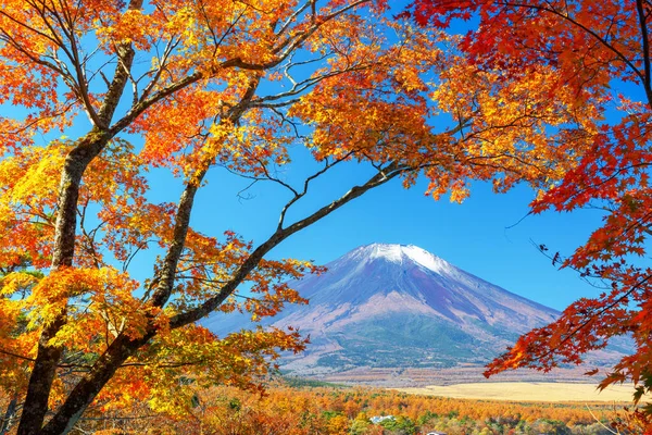 Гора Фудзи Озера Яманака Префектуре Яманаси Осенью — стоковое фото