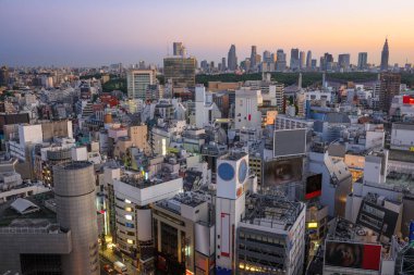 Tokyo, Japonya cityscape alacakaranlıkta Shibuya bölgesi üzerinde.