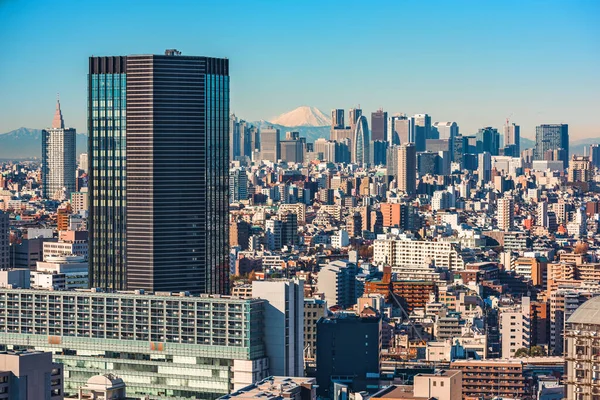 Tokio Japonia Shinjuku Fuji Horyzoncie — Zdjęcie stockowe