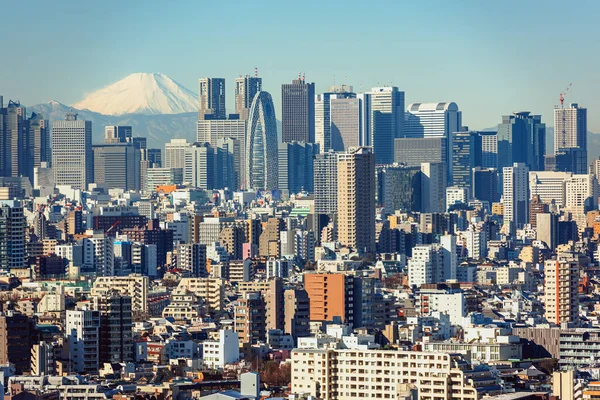 Tokio Japón Shinjuku Con Fuji Horizonte — Foto de Stock