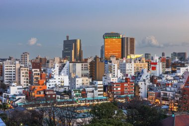 Tokyo, Japonya Apartmanlar ve alacakaranlıkta Sumida koğuşta cityscape.