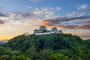 Wakayama, Japonya tepe Wakayama Şatosu şafak vakti.