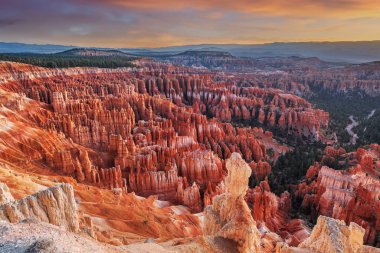 Bryce Canyon Ulusal Parkı, Utah, ABD şafak vakti