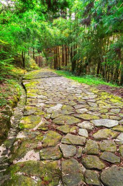 Nakasendo antik patikası Ochiai kaldırım taşı yolu kırsal Kiso Vadisi, Gifu Bölgesi, Japonya.