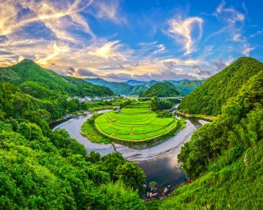 Japonya, Wakayama 'da Aragijima pirinç terası..