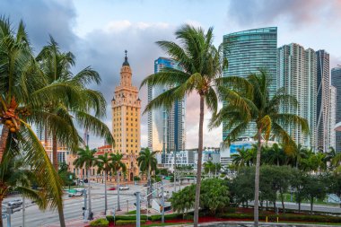 Miami, Florida, ABD sabah palmiye ağaçları üzerinden şehir manzarası.