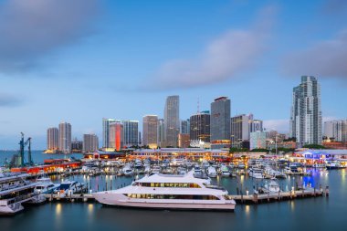 Miami, Florida, Abd şehir merkezi silüeti alacakaranlıkta.