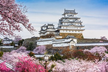 Nda bahar kiraz çiçeği sezonunda Himeji Kalesi Himeji, Japonya.