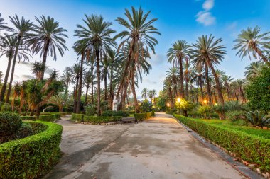 Palermo, İtalya Şafak vakti Villa Bonnano halk bahçesinde.