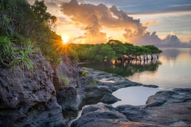 Iriomote, Okinawa, Japonya kıyı manzarası gün batımında.