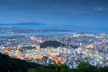 Tokushima, Japan downtown city skyline at blue hour from the mountains. clipart