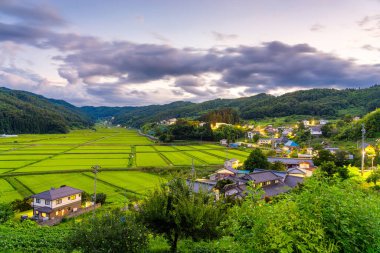 Nagano Eyaleti, Japonya kırsal Tanokuchi Pirinç Terasları Akşamları.