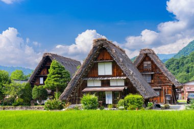 Ogimachi, Shirakawa, Japan with the thatch roof farmhouses in summer. clipart