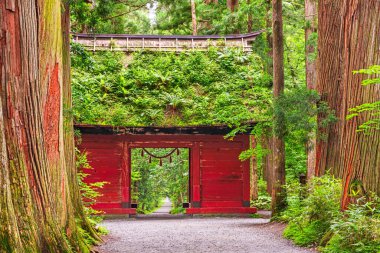 Zuishinmon Gate at Togakushi Shrine in Nagano, Japan in summer season. clipart