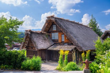 Ogimachi, Shirakawa, Japonya Yazın çatısı olan çiftlik evleri.