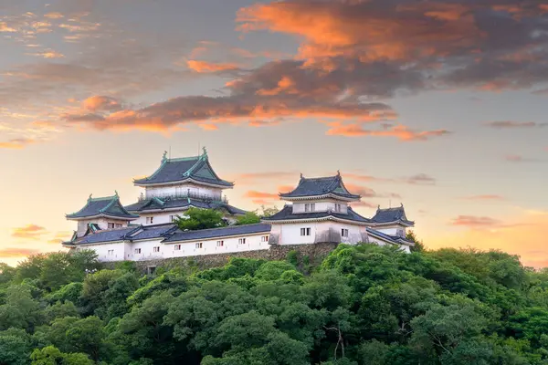 Wakayama, Japonya tepe Wakayama Şatosu şafak vakti.