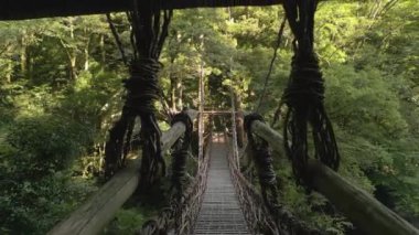 Iya Vadisi, Tokushima, Japonya Kazurabashi asma köprüsünde..