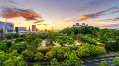 Wakayama, Japonya tepe Wakayama Şatosu şafak vakti.