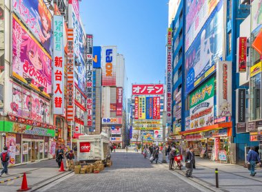 TOKYO, JAPONYAN - 11 Ocak 2017: Kalabalık Akihabara 'daki renkli işaretlerin altından geçer. Tarihi elektronik bölge video oyunları, anime, manga ve bilgisayar ürünleri için bir alışveriş alanına dönüştü..