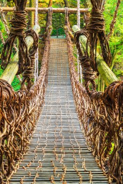 Iya Vadisi, Tokushima, Japonya Kazurabashi asma köprüsünde. Periyodik olarak yeniden inşa edilmesine rağmen, köprünün tarihi 800 yıldan daha eskiye dayanıyor..