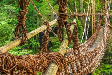 Iya Vadisi, Tokushima, Japonya Kazurabashi asma köprüsünde. Periyodik olarak yeniden inşa edilmesine rağmen, köprünün tarihi 800 yıldan daha eskiye dayanıyor..