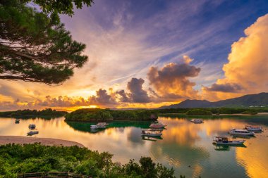 Ishigaki, Japonya Şafak vakti güzel Kabira Körfezi 'nden.
