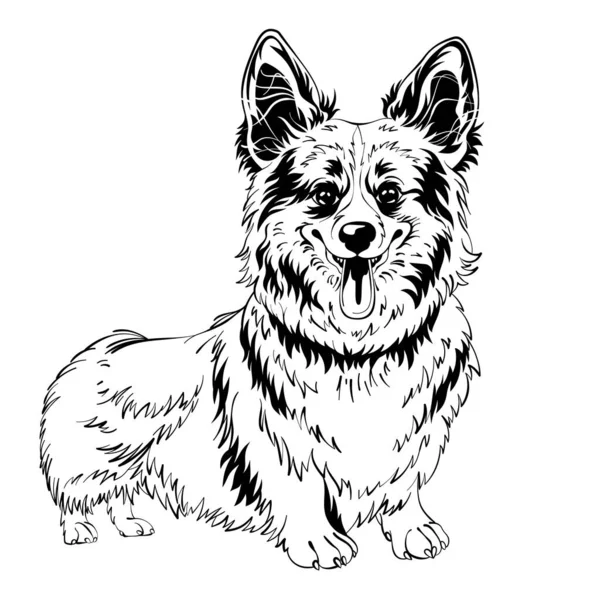 犬の黒と白のスケッチウェールズのCorgi品種滞在と笑顔 — ストックベクタ