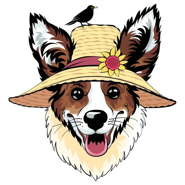 Hipster Köpeği Pembroke Galler Corgi Hasır Şapkalı Çiçekli — Stok Vektör