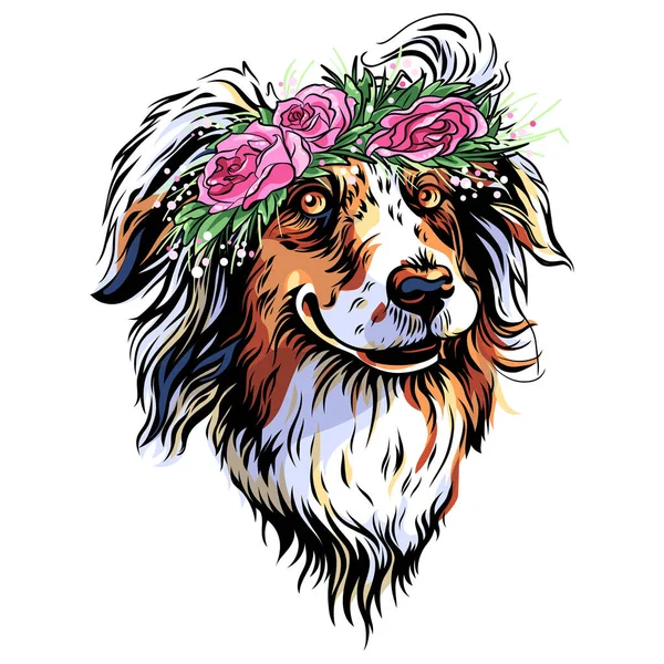 Çiçek Çelengi Giymiş Avustralya Çoban Köpeğinin Renkli Çizimi — Stok Vektör