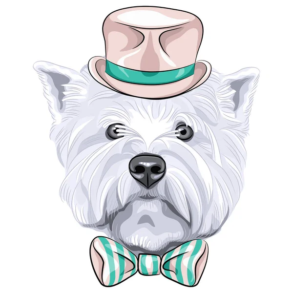 Vector Sketch Closeup Portrait Serious Dog West Highland White Terrier — Stock Vector