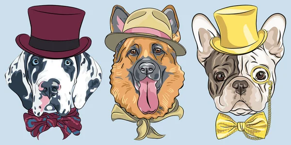 Διάνυσμα Σύνολο Σκύλων Καπέλο Και Παπιγιόν Στίγματα Harlequin Μεγάλη Δανός — Διανυσματικό Αρχείο