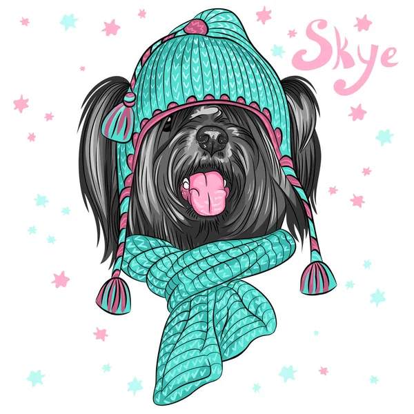 Color Sketch Cartoon Hipster Cute Dog Skye Terrier Breed Knitted — Stock Vector