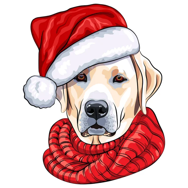 Boceto Color Vectorial Perro Cachorro Labrador Retriever Raza Sombrero Rojo — Vector de stock