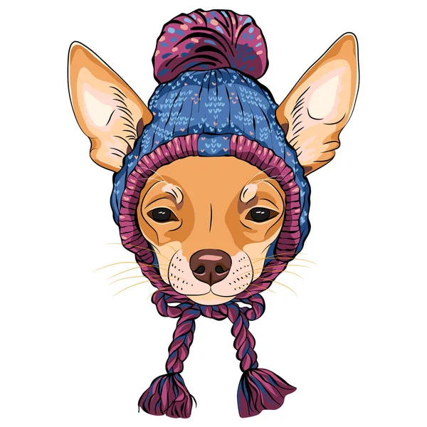 Vector Sketch Cartoon Hipster Cute Dog Chihuahua Breed Knitted Hat — Stock Vector